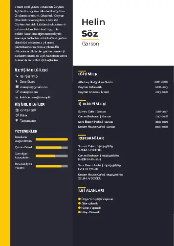 cv indir